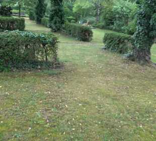 Friedhof Entringen