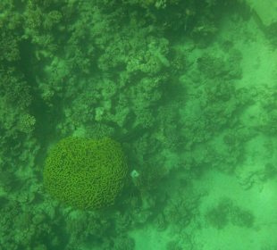 Hausriff Arabella Azur Beach