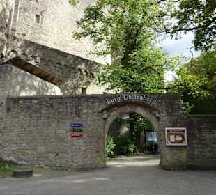 Burg Guttenberg