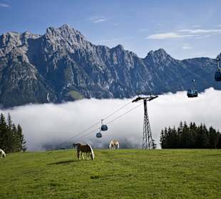 Berg der Sinne - Sinne Erlebnispark