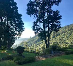 Nuwara Eliya- Natur pur ..soweit das Auge reicht