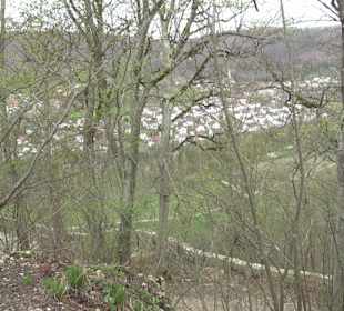 Wanderung rund um das Rusenschloss Gerhausen