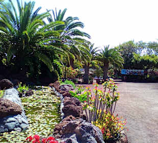 Oasis Park in La Lajita