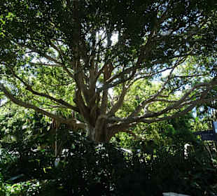 Stadtrundgang Sydney