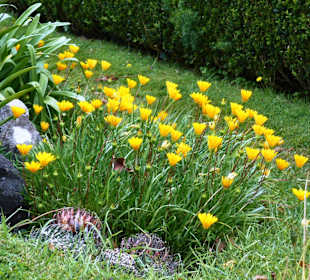 Palheiro Gardens