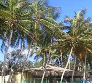 Playa el Aqua