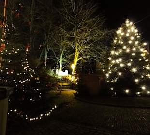 Impressionen vom Weihnachtsmarkt am Schloss