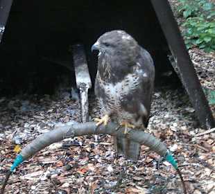 Zoo Olomouc