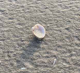 Strand St. Peter Ording