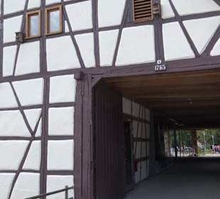 Haupt- und Landgestüt Marbach