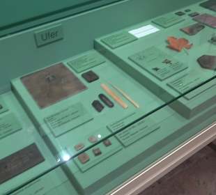 Staatliches Naturkunde Museum