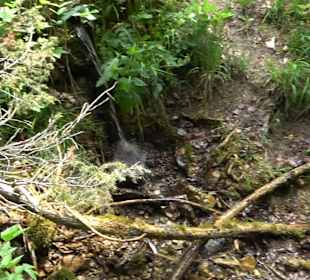 Schlichemquelle Tieringen