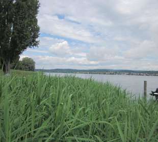 Insel Reichenau Hochwasser