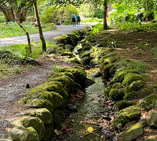 Killarney National Park