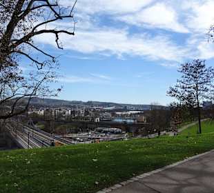Rosensteinpark Übergang zu Schlossgarten