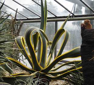 Anlage Planten un Blomen