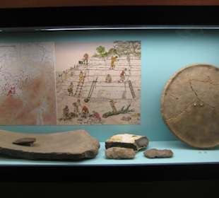 Rheinisches Landesmuseum