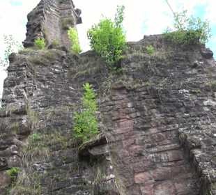 Burgruine Sterneck