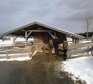 Gut Aiderbichl  Gegend