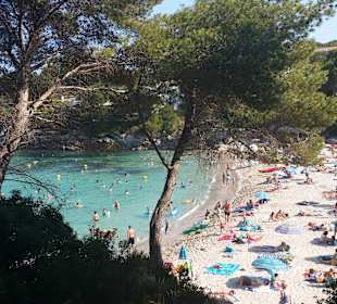 Playa font de sa cala 4 min. vom Hotel entfernt