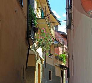 Streifzug durch die Stadt