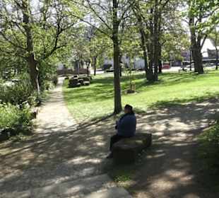 Rheinisches Landesmuseum