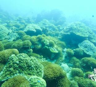 Tauchen in Koh Chang