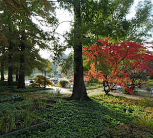 Rundgang durch das herbstliche "Planten un Blomen"