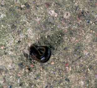 Und der hat jetzt mein Blut