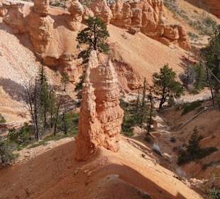 Bryce Canyon N.P.