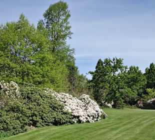 Rundgang durch den Berggarten Hannover