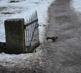 Freilichtmuseum Skansen