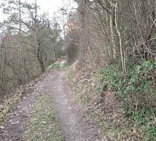 Unterjesinger Wengertwegle