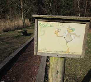 Der wunderschöne Sandwiesenweiher