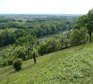 Auf den Rundwanderweg Höllental und Mainblick
