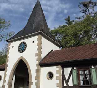 Erlebnispark Tripsdrill