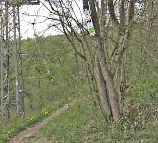 Wanderweg Hochgehswiggert