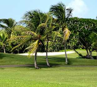 Spaziergang über den Platz