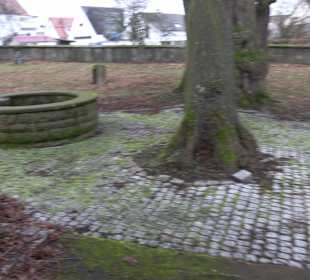 Alter Friedhof Pliezhausen