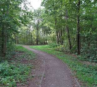 Impressionen vom Rundweg um den Weichelsee