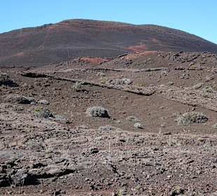 Impressionen aus der Plaine des Sables