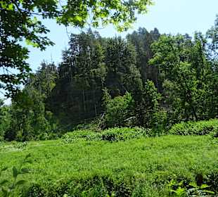 Kirnitzschtalbahn