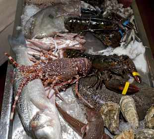 Ristorante Soleiado Rimini ristorante restaurant