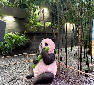 Jewel Changi Airport