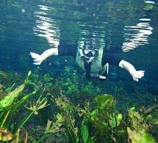 Schnorcheln mit den Fischen