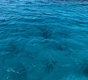 Schnorcheln Abu Soma