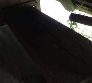 Schlössle von Effringen