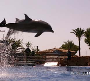 Marineland