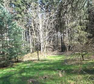 Wanderung Florianrunde