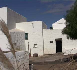 Bodega + Museum El Grifo